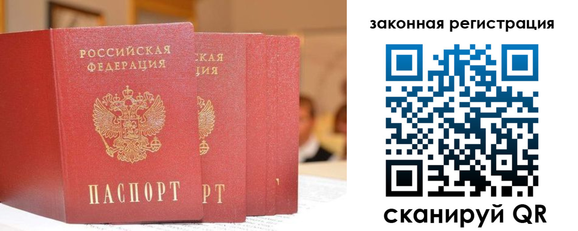 прописка поиск в Бородино